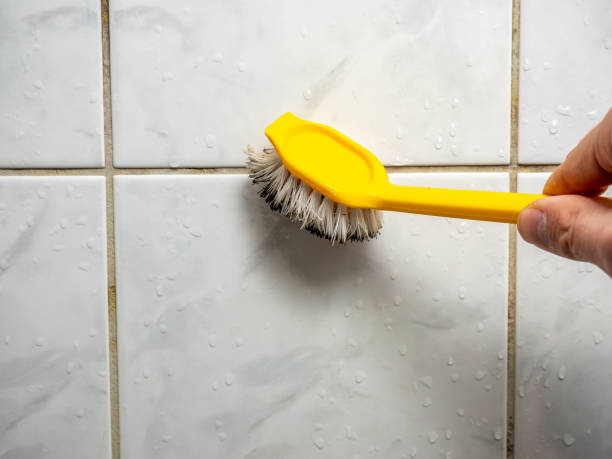 Best Mold Damage Repair  in Lynnwood Pricedale, PA
