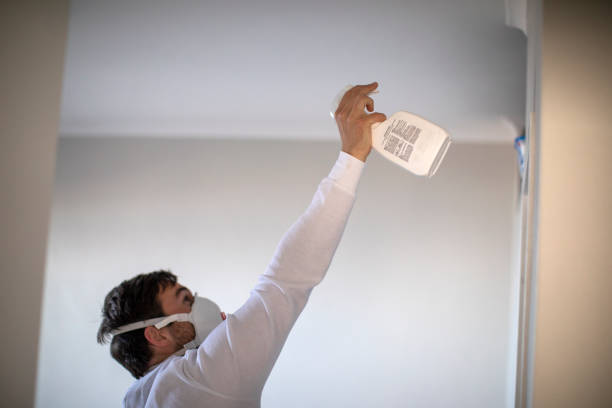 Best Crawl Space Mold Removal  in Lynnwood Pricedale, PA