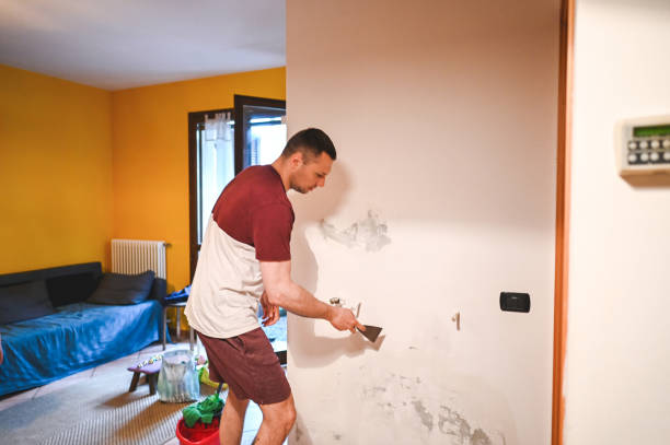 Best Toxic Mold Removal  in Lynnwood Pricedale, PA