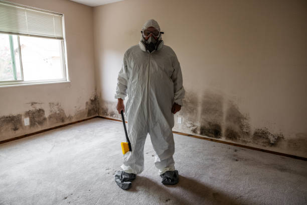 Best Attic Mold Removal  in Lynnwood Pricedale, PA